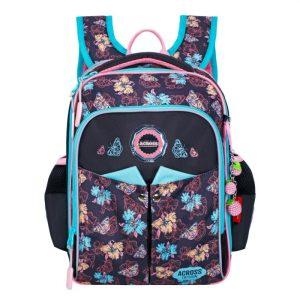 ACS5-1_1a-800×800